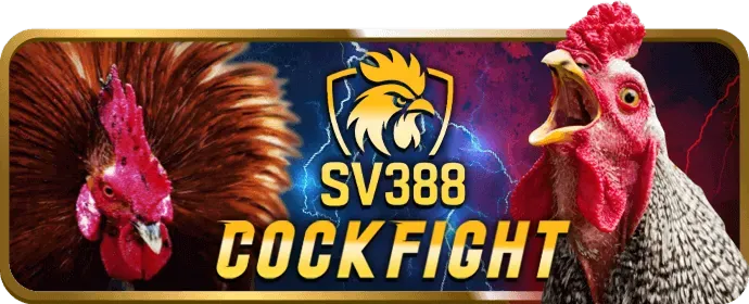 Hoàn Trả Casino Trực Tuyến s6667